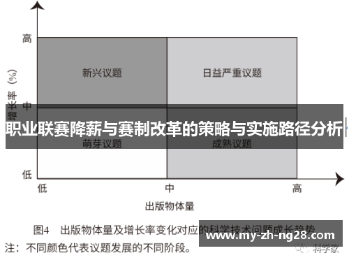 职业联赛降薪与赛制改革的策略与实施路径分析 职业联赛降薪与赛制改革的策略与实施路径分析