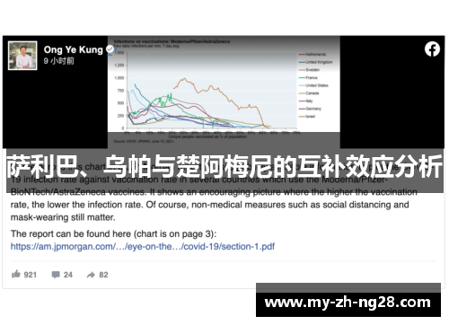 萨利巴、乌帕与楚阿梅尼的互补效应分析 萨利巴、乌帕与楚阿梅尼的互补效应分析