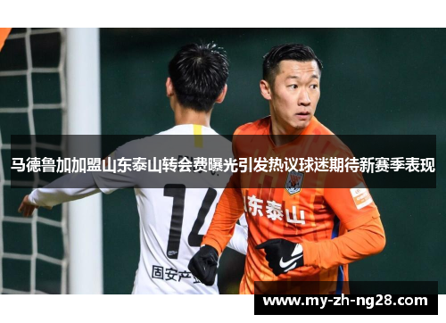 马德鲁加加盟山东泰山转会费曝光引发热议球迷期待新赛季表现 马德鲁加加盟山东泰山转会费曝光引发热议球迷期待新赛季表现