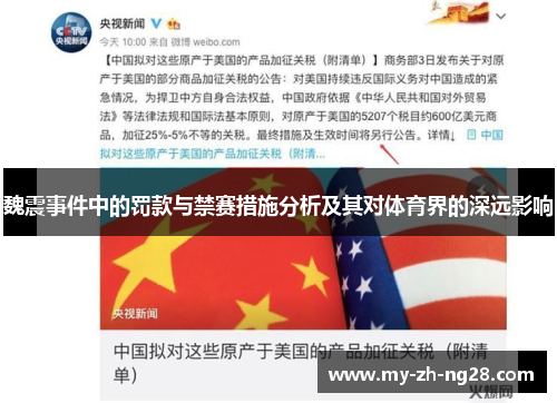 魏震事件中的罚款与禁赛措施分析及其对体育界的深远影响