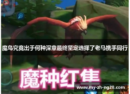 魔鸟究竟出于何种深意最终坚定选择了老马携手同行