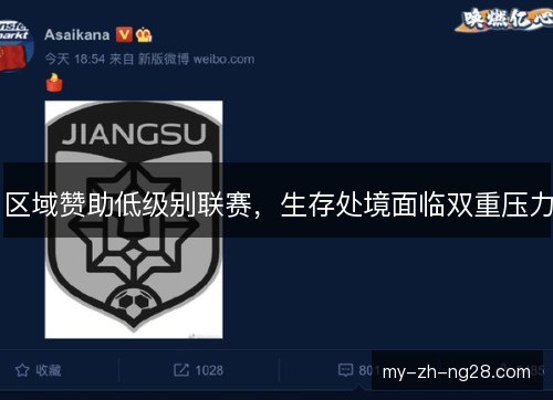 区域赞助低级别联赛，生存处境面临双重压力